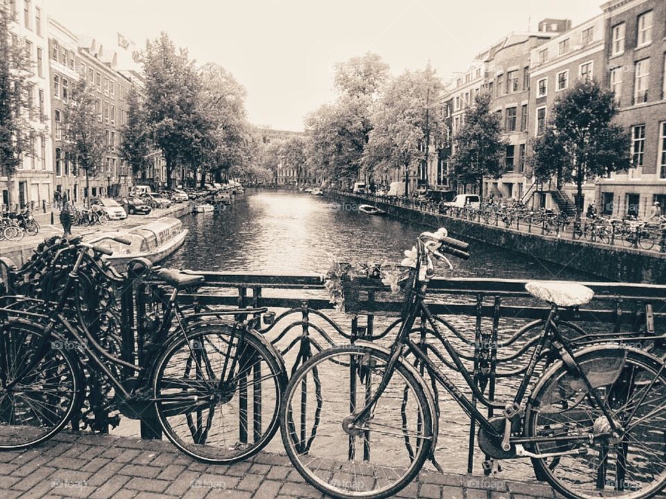 Pretty Amsterdam 