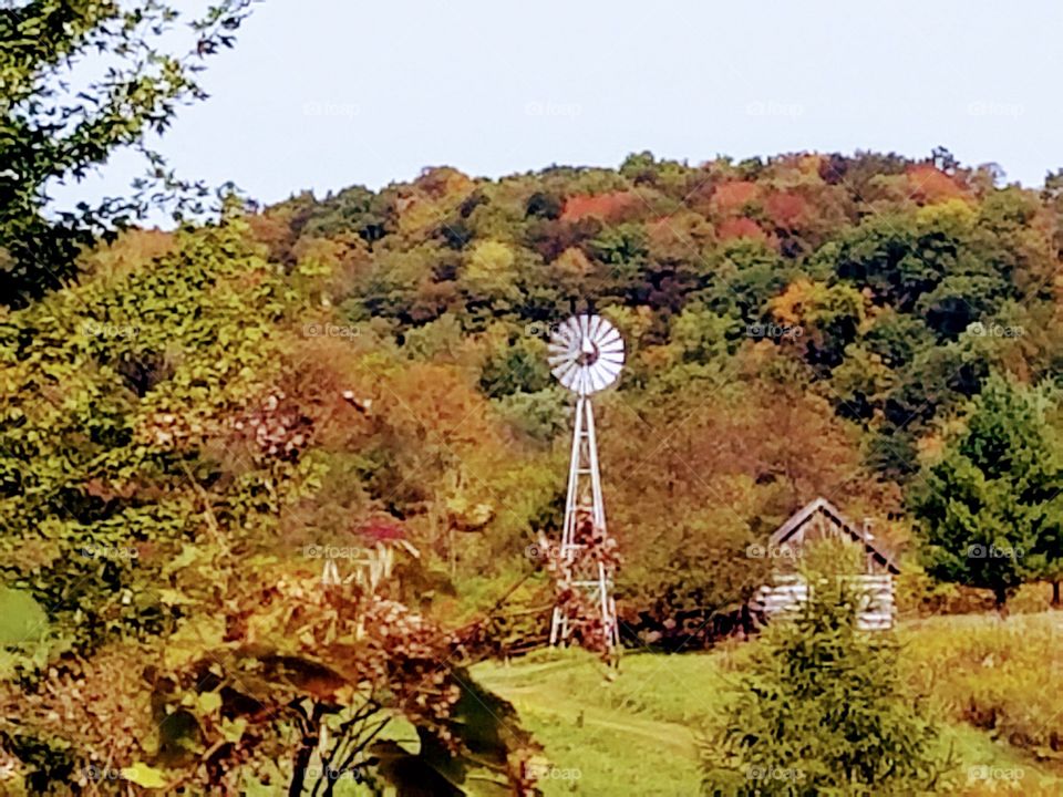 Driving the Back Roads and enjoying everything around us