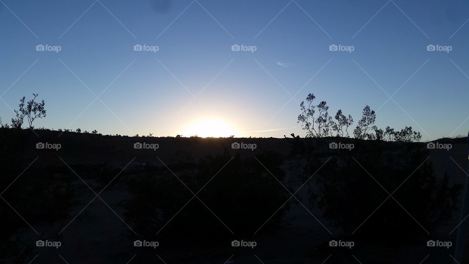 Mojave Sunset