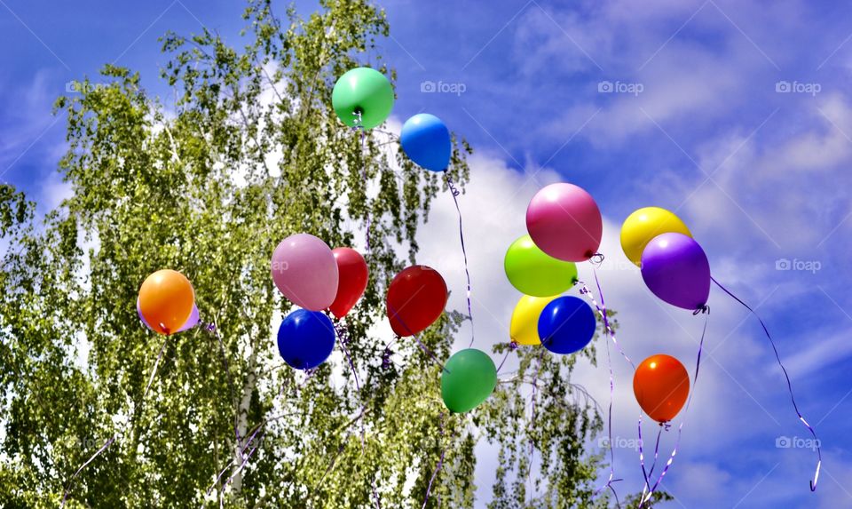 multi-colored balloons fly to the sky