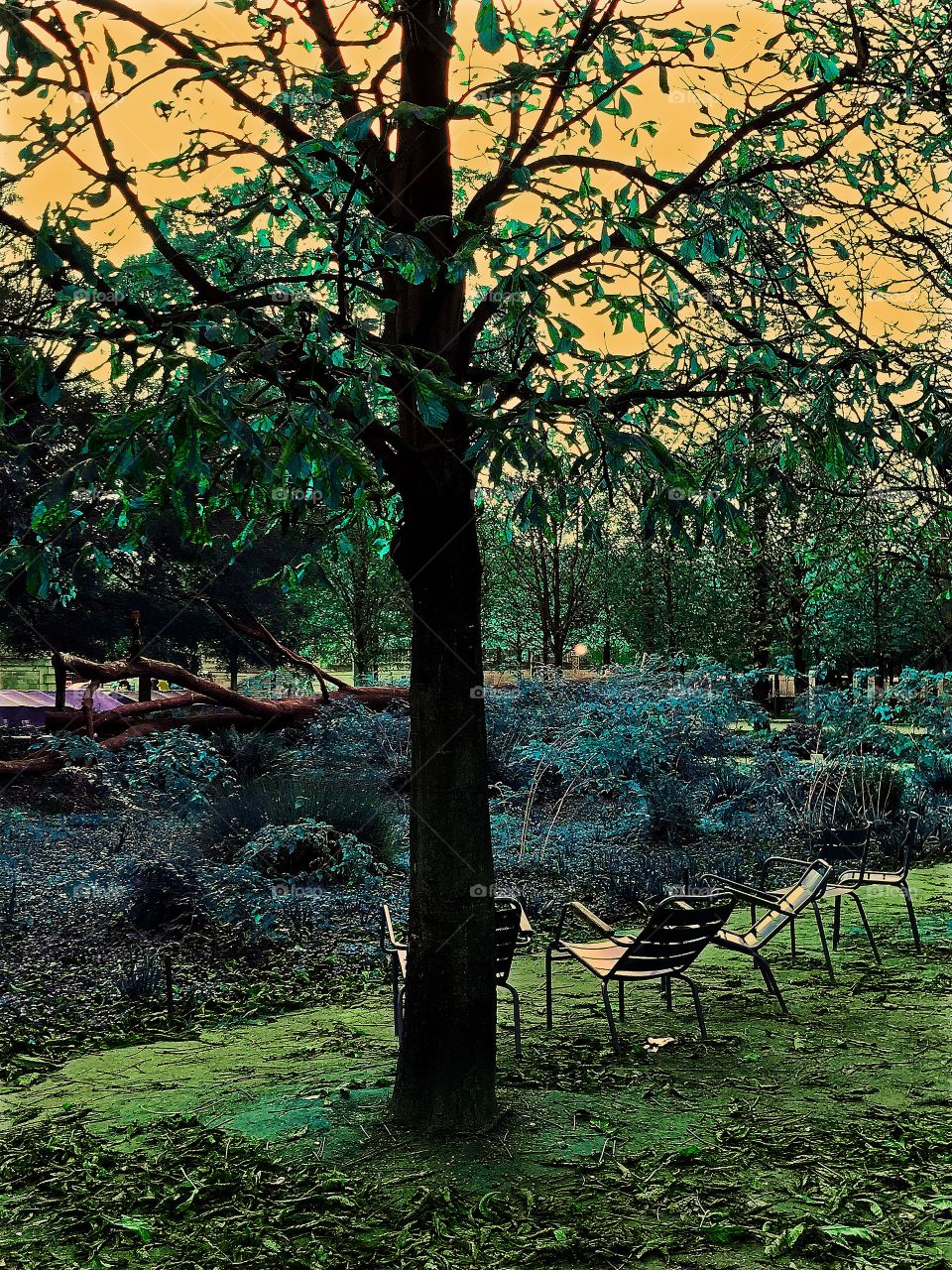 Tuileries park Paris