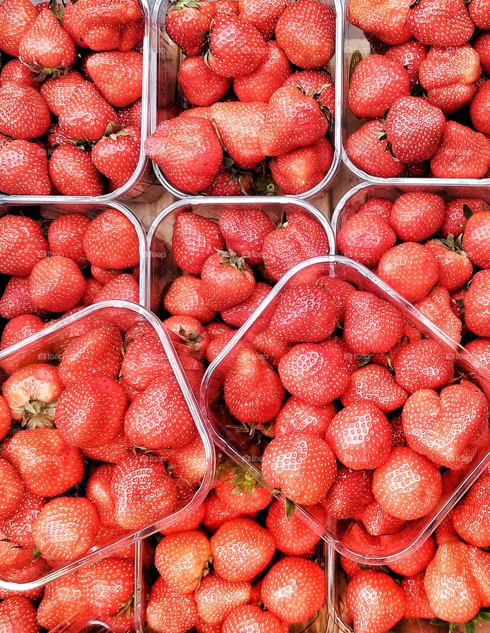 Strawberries in plastic boxes