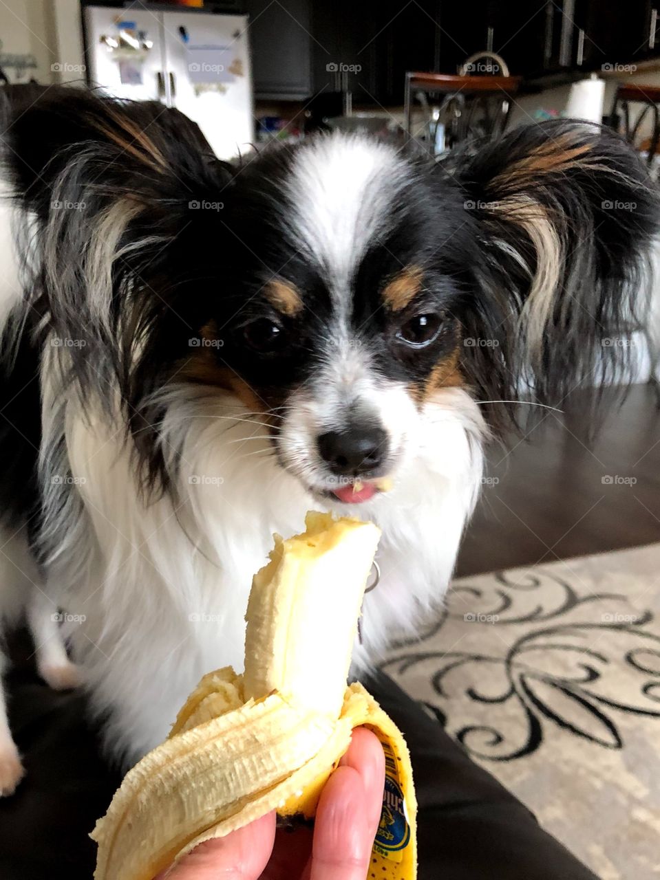 This is my banana