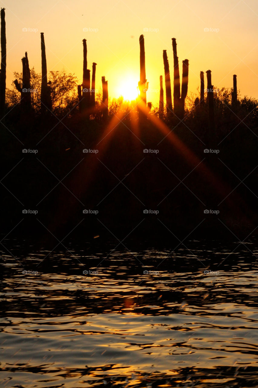 nature outdoors sunset shadow by lmtrent