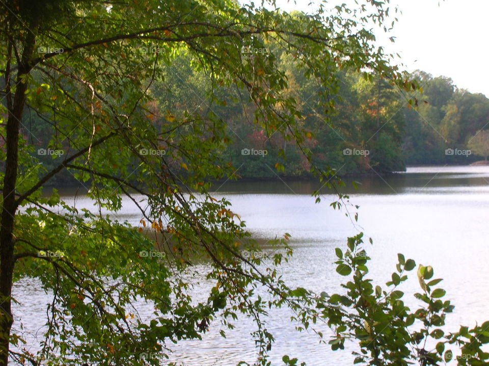 My View. Hiking around the lake