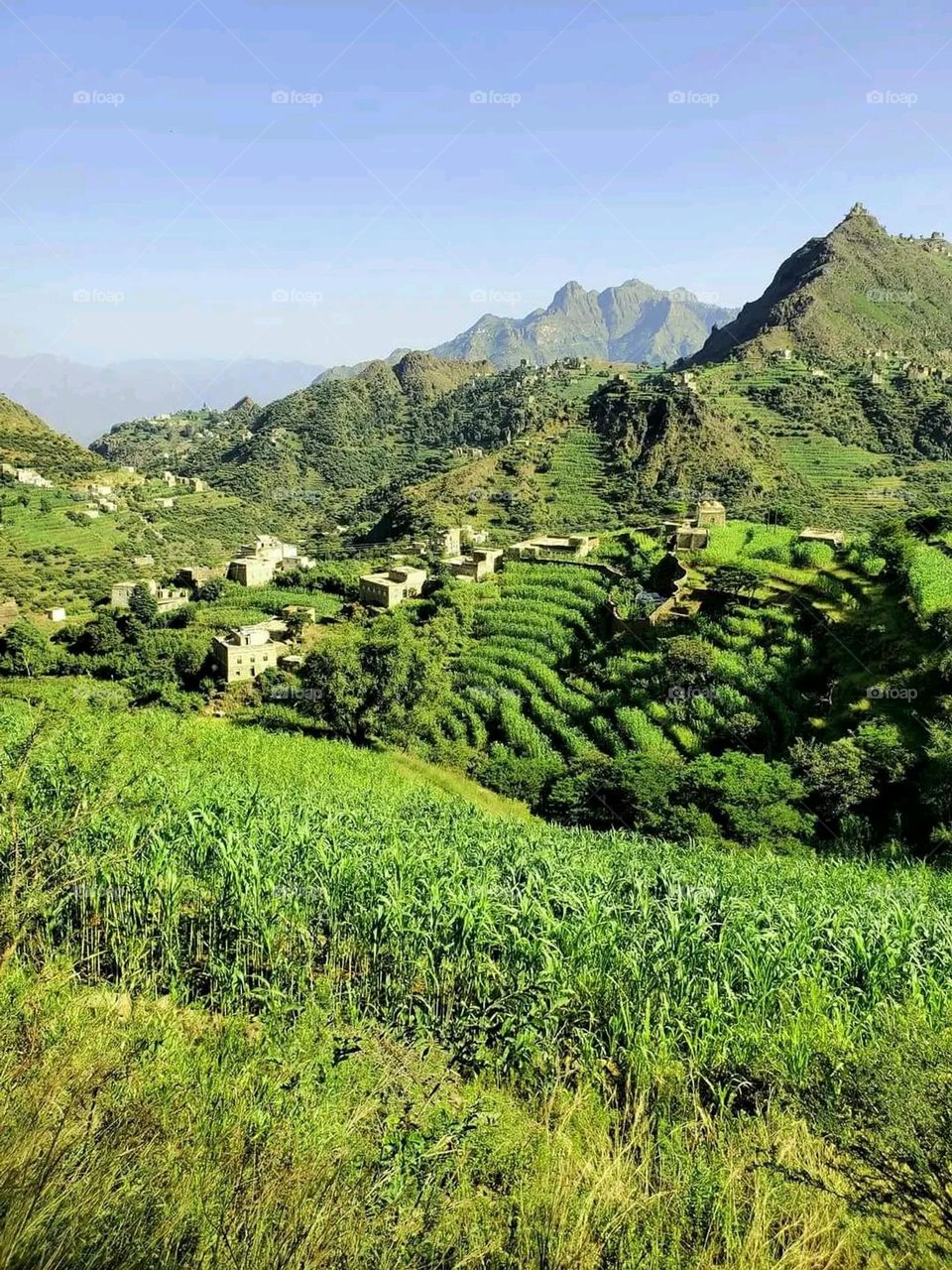 Glory be to God, the magnificent and picturesque view and the natural green trees are a view that is nothing more wonderful than it