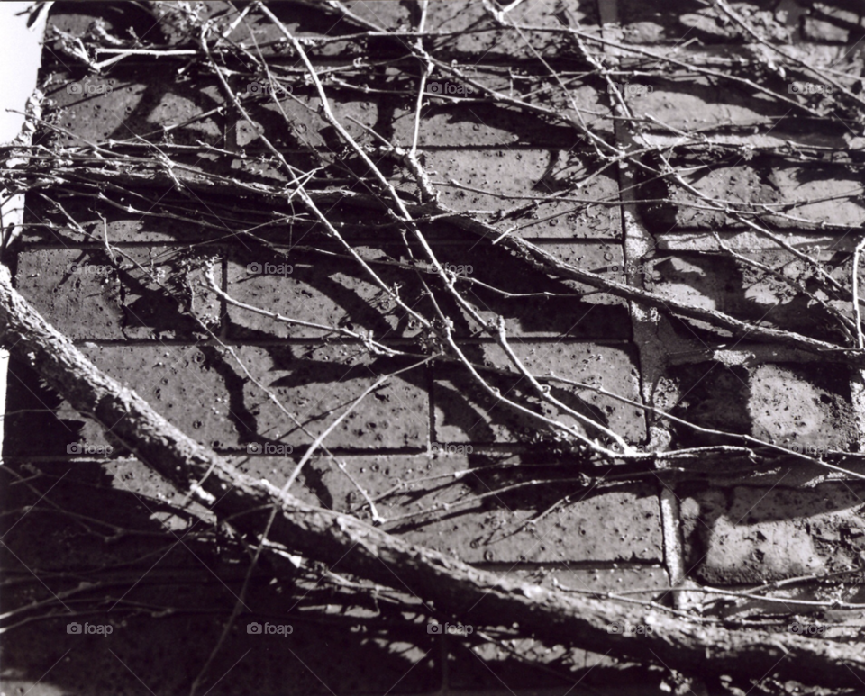 city urban building architecture by squishypie