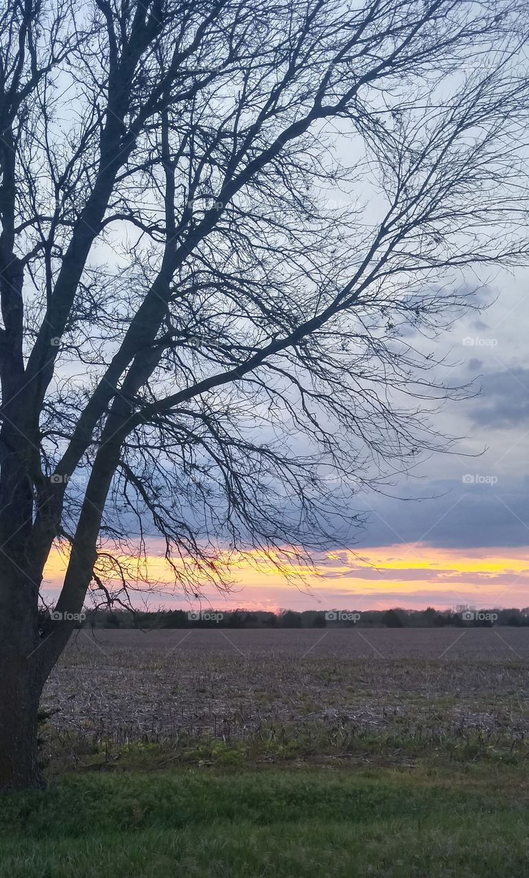 Another Kansas Sunset