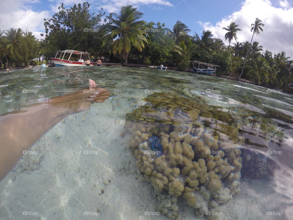 Tahaa 
In Polynesia 
