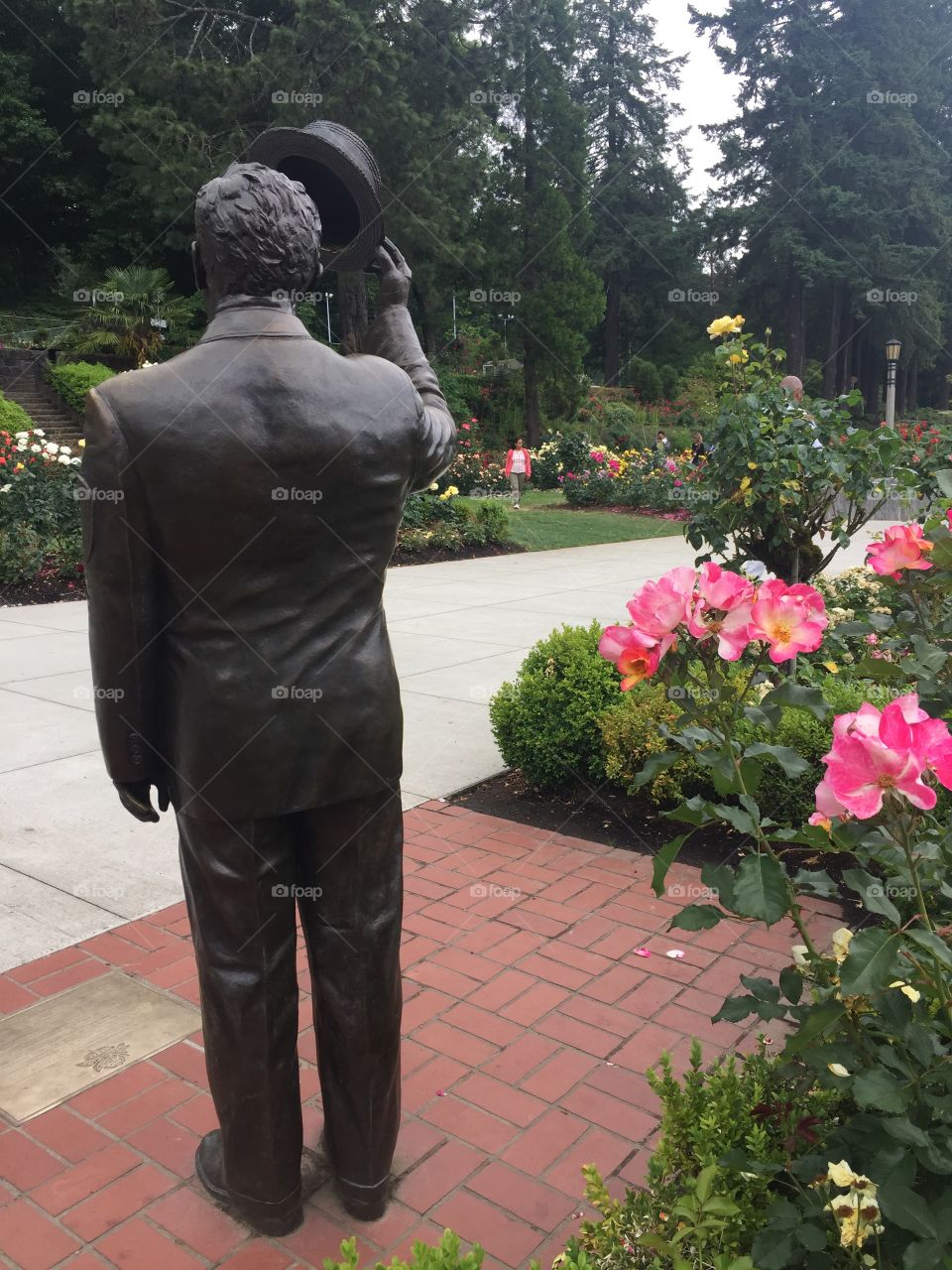 good day from the rose garden 