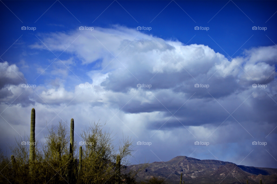phoenix green white clouds by stevehardley7