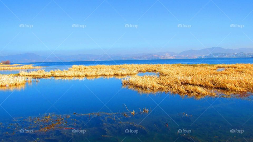lake eryuan