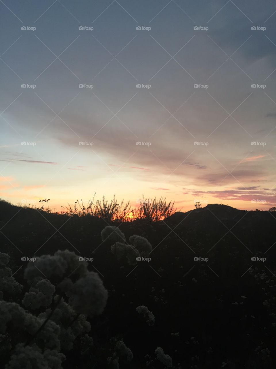 No Person, Landscape, Sunset, Sky, Dawn
