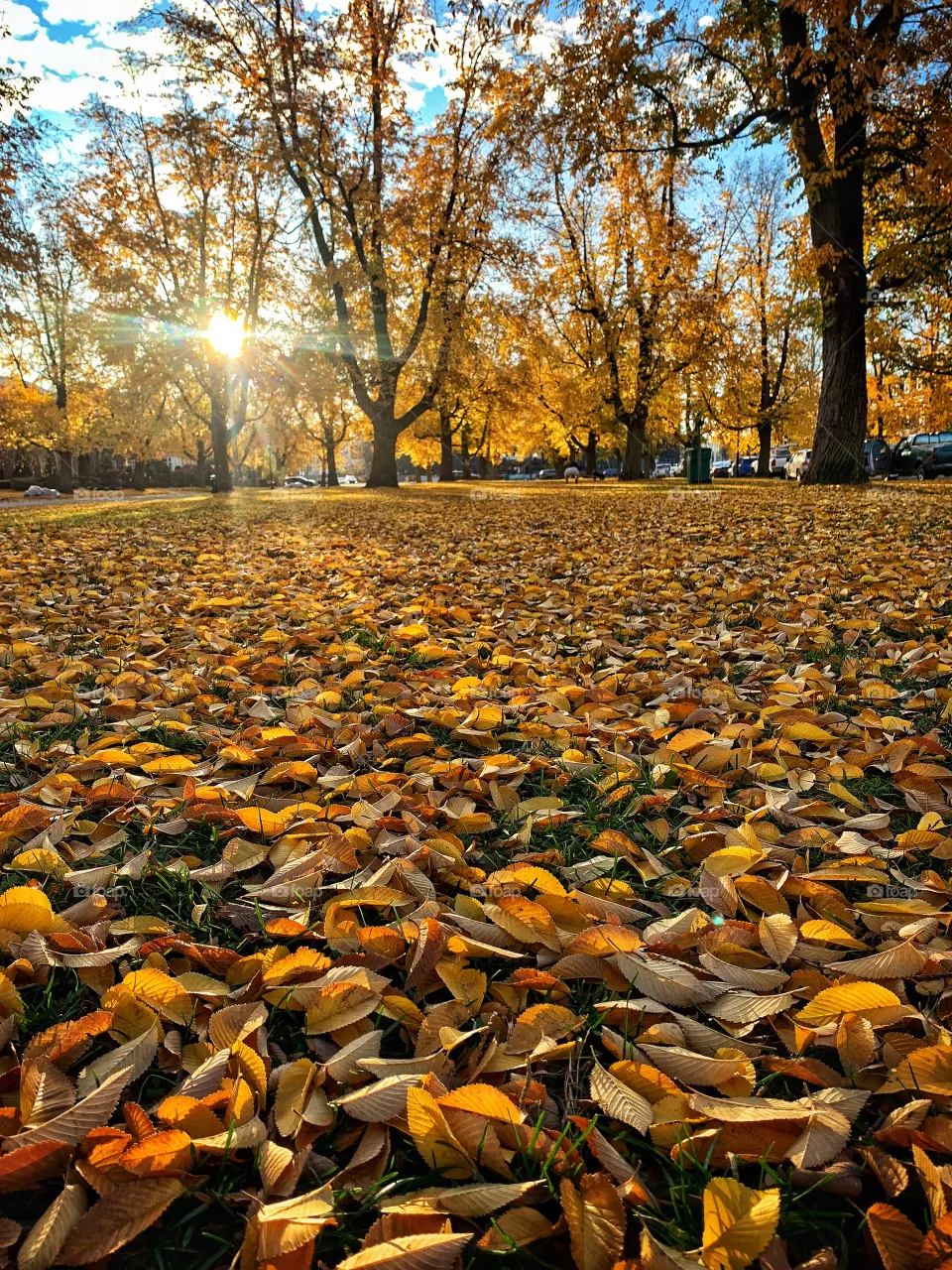 Fall is in the air