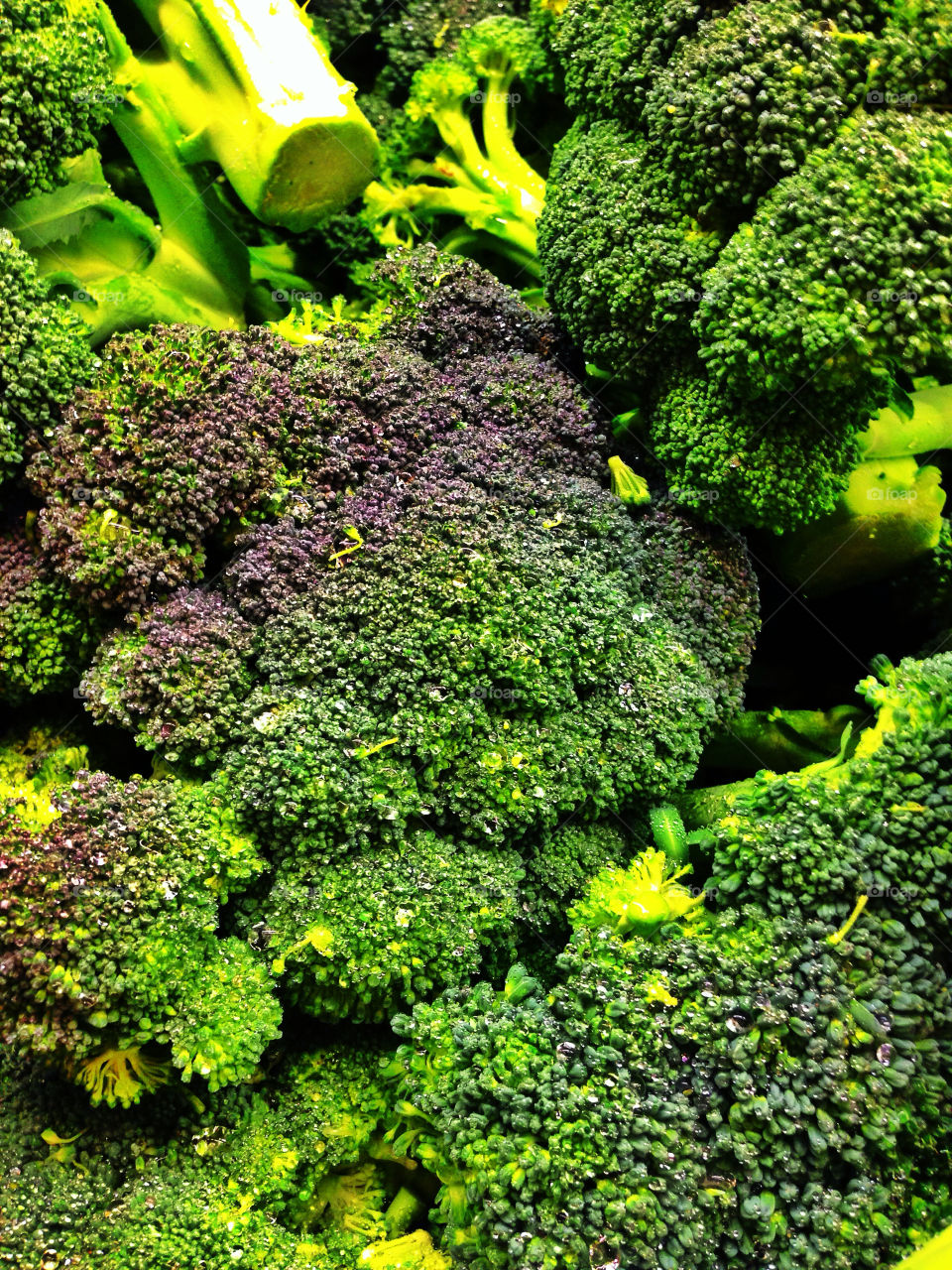 Fresh green organic broccoli crowns