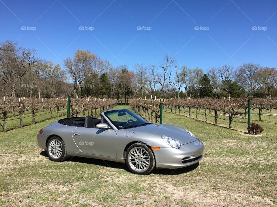 Drive through the Vinyard