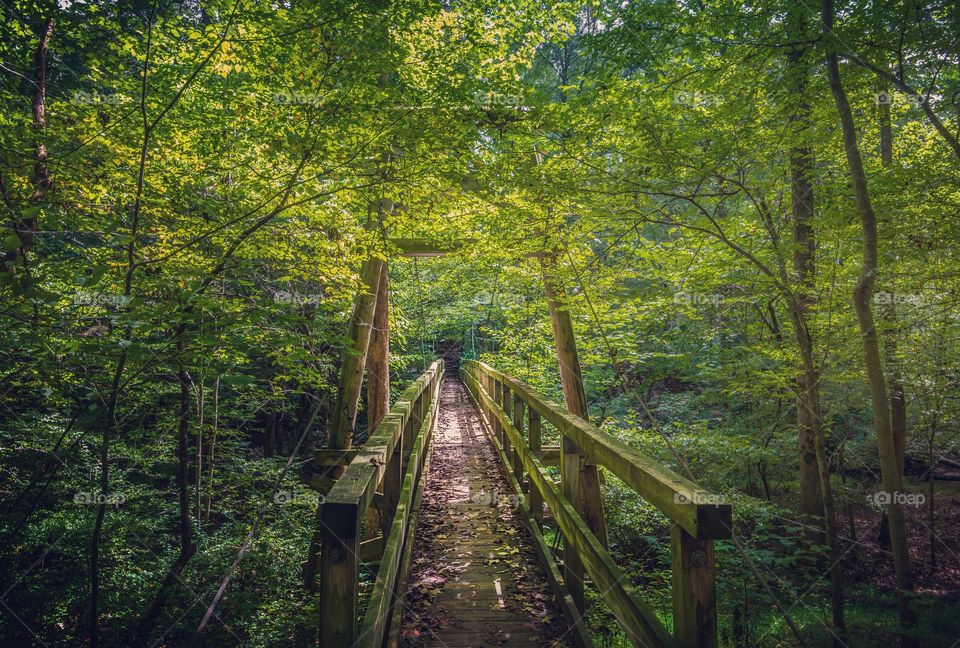 Dapple sunlight on suspension footbridge in woods