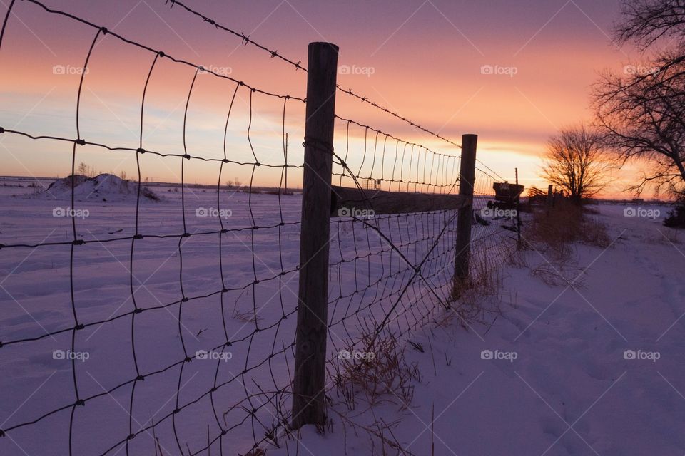 Fence line on Farm at sunset 