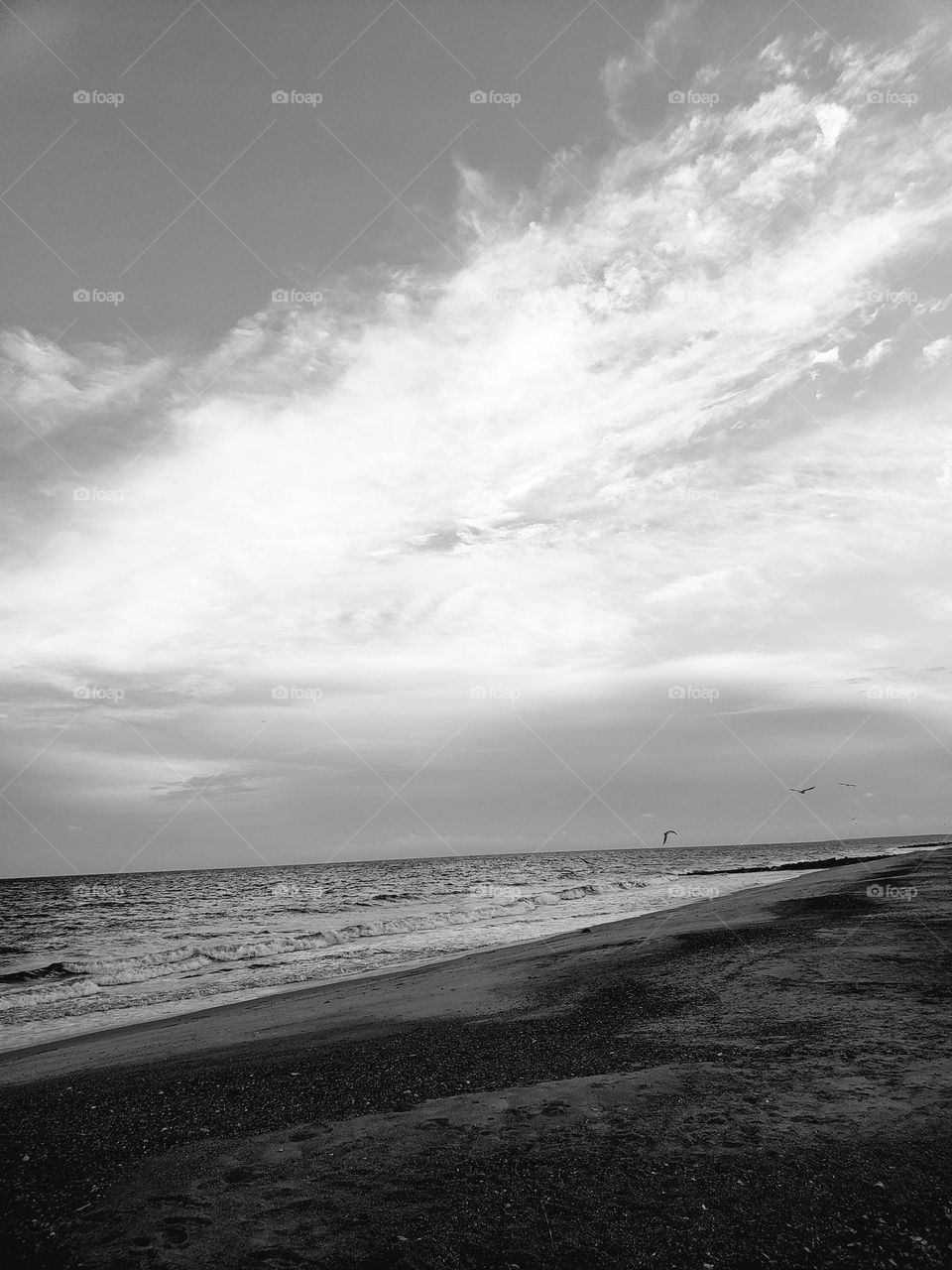 black and white beach