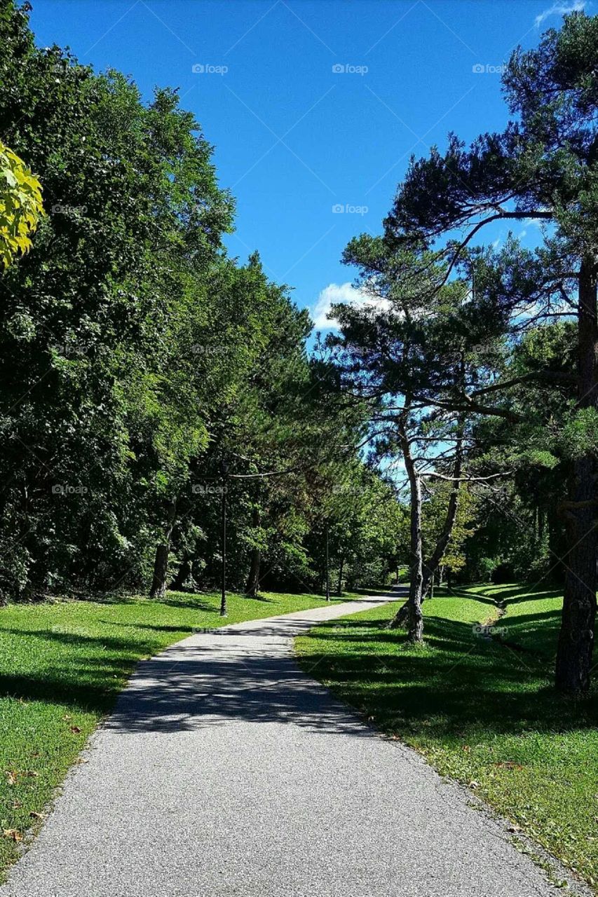 Park Trail