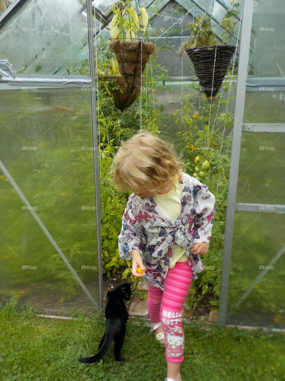 Kitty trying to be involved 