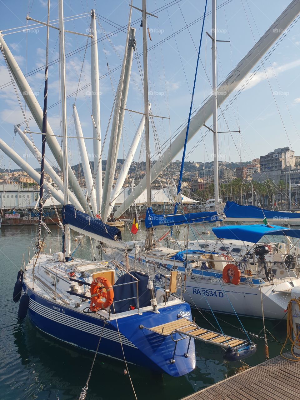 The Port of Genoa