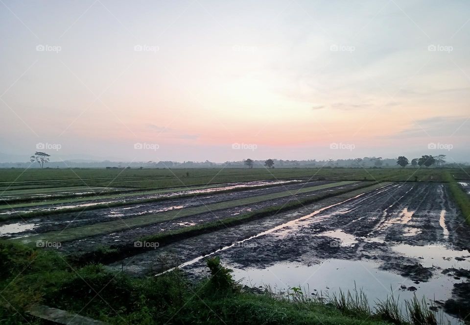 A Scenary in the morning in a village