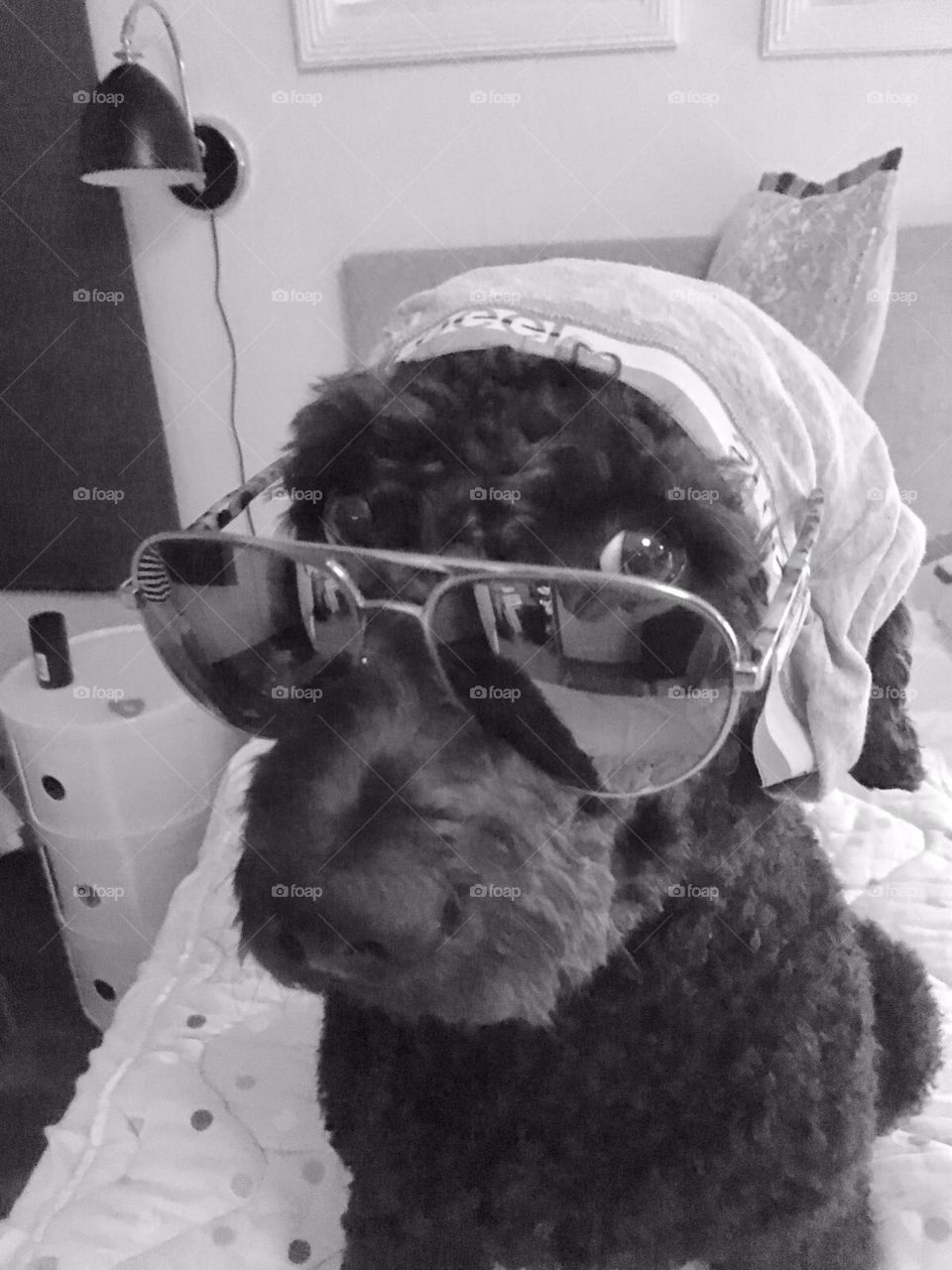 My photo for the life with pets challenge, i hope i win my first win!!