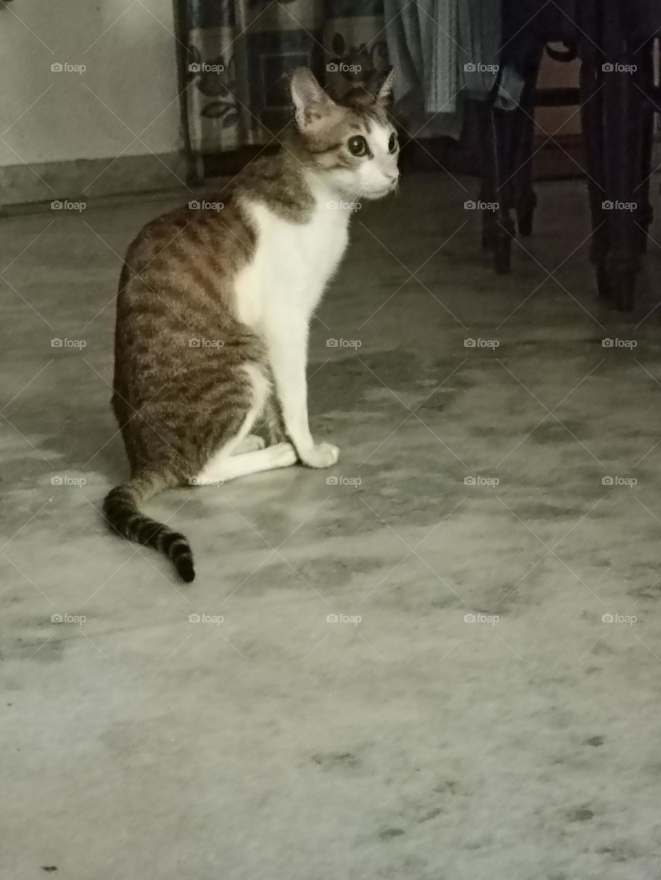 waiting is not good job