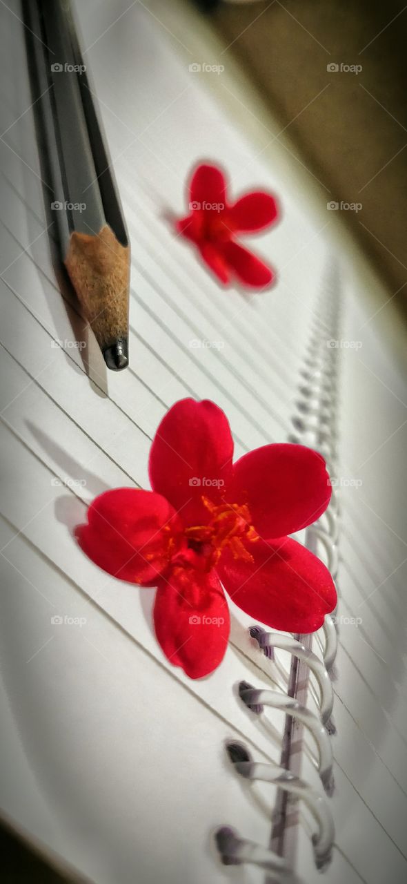 Writing something Bright & Beautiful