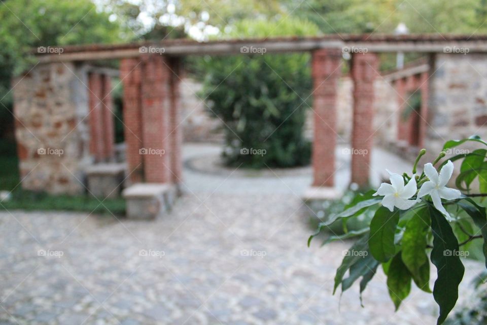 Garden of Five Senses #7. Garden of Five Senses, New Delhi, India