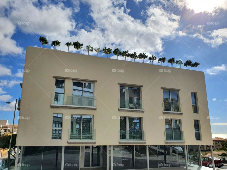 Architecture - modern building with roof terrace  - trees in rows