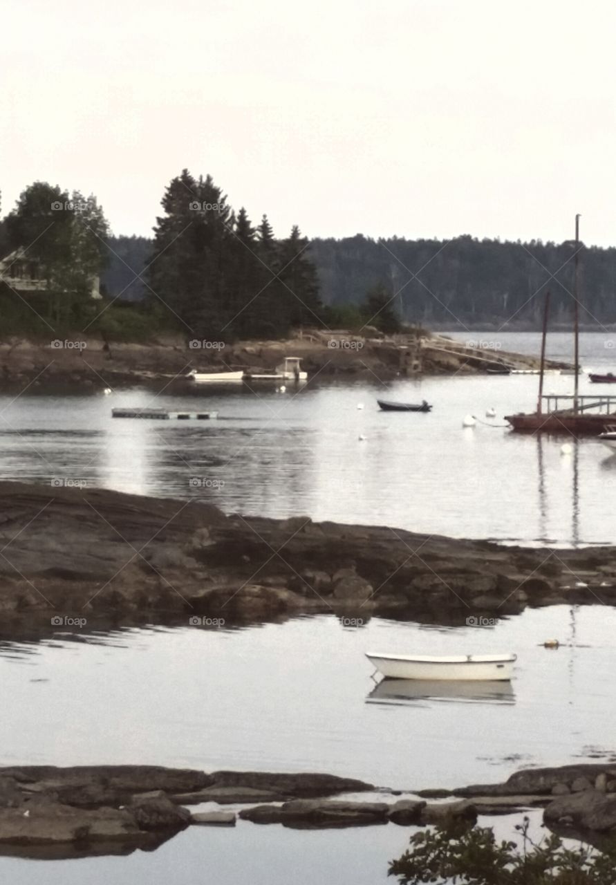 Low tide in Maine harbor
