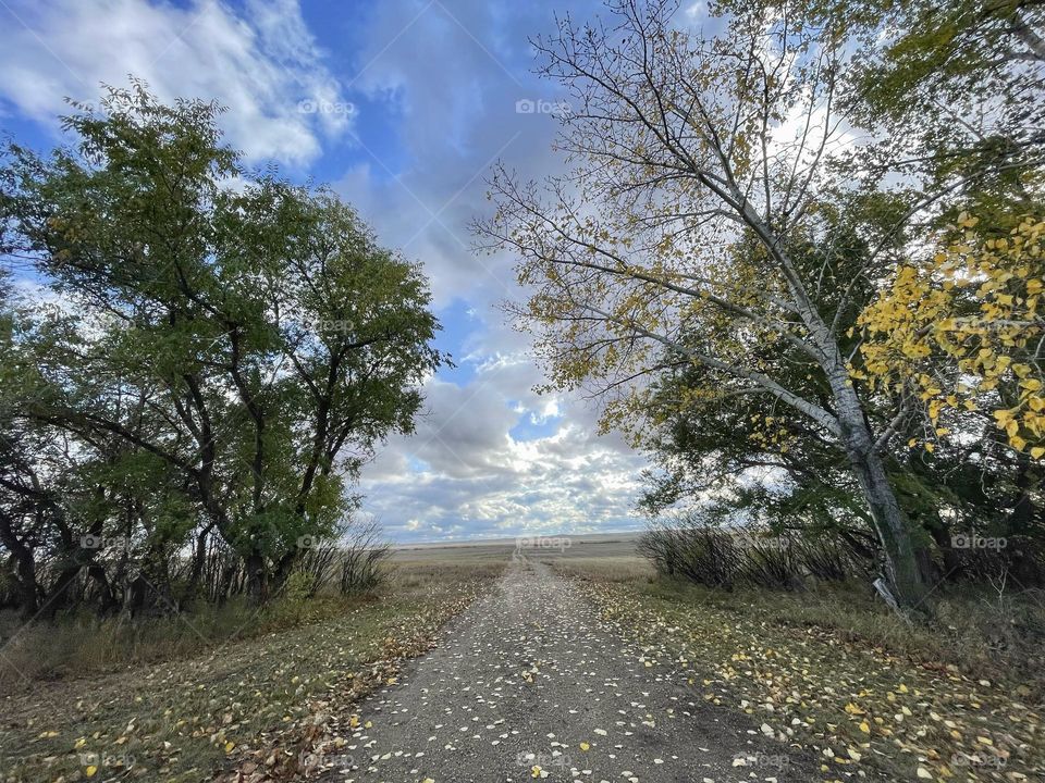 Autumn in the prairies 