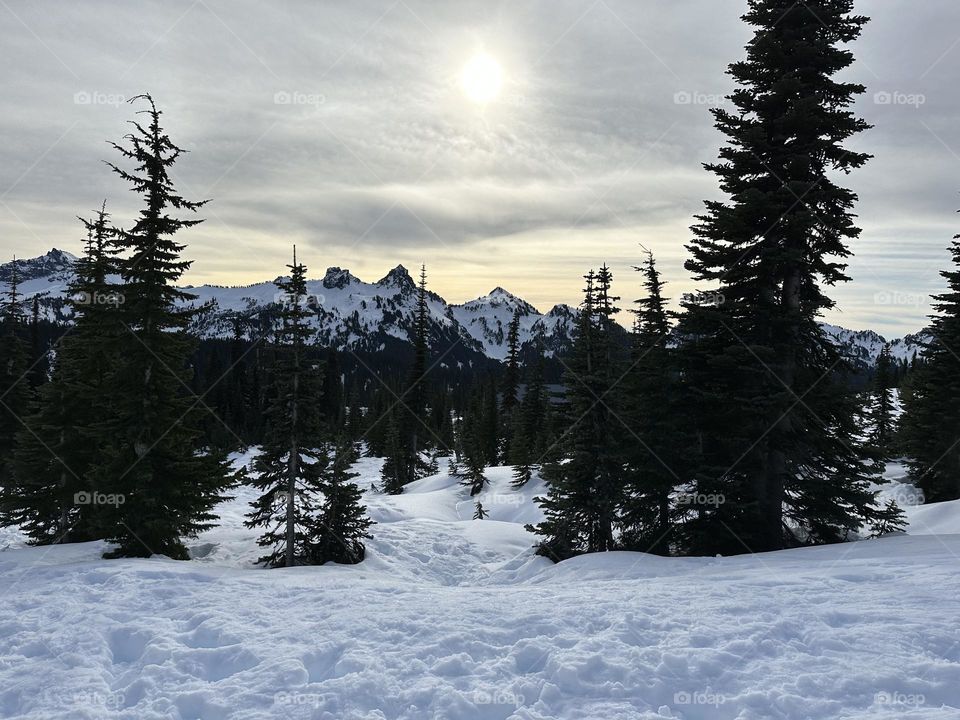 The Rainier Mountain 