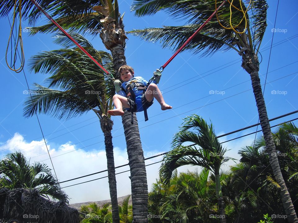 Boy On Bungee Swing
