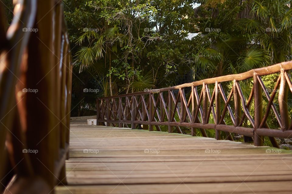 Wooden bridge crossing a cenote in the Mayan Riviera in Mexico.