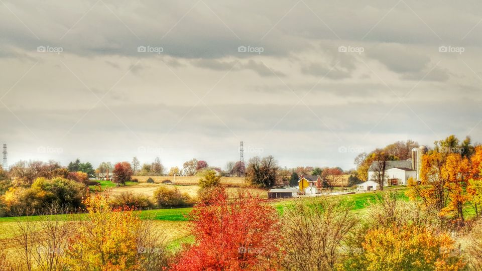Strasburg Farmland Landscape