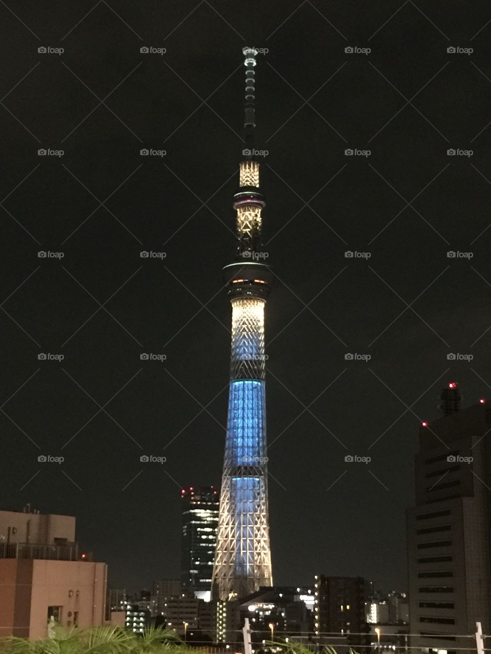 Tokyo Skytree night view