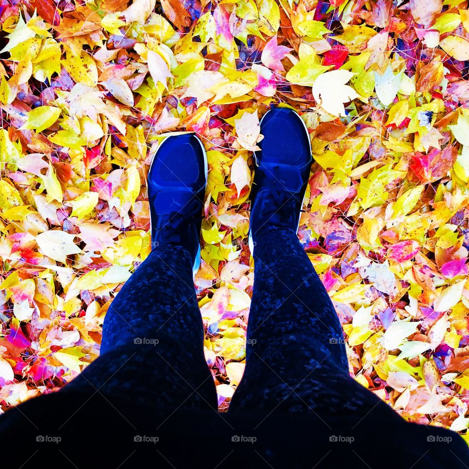 A walk in the leaves