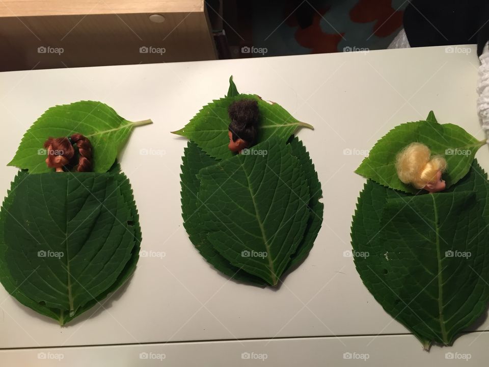 Green color story 
Fairies in bed