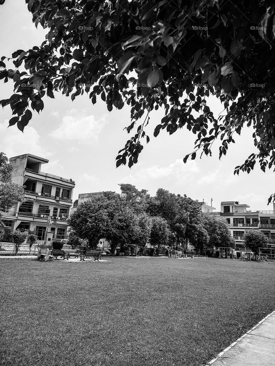 beautiful society and garden view