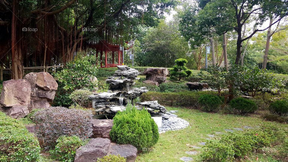 Zen garden