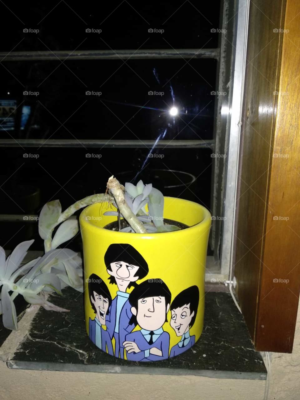 The Beatles  plant