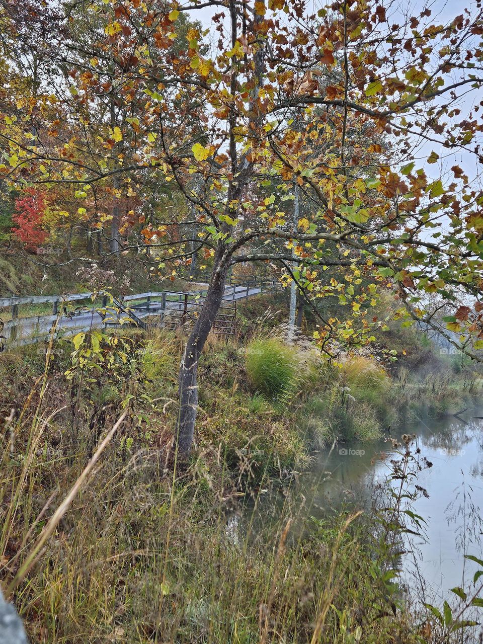 Beautiful fall morning