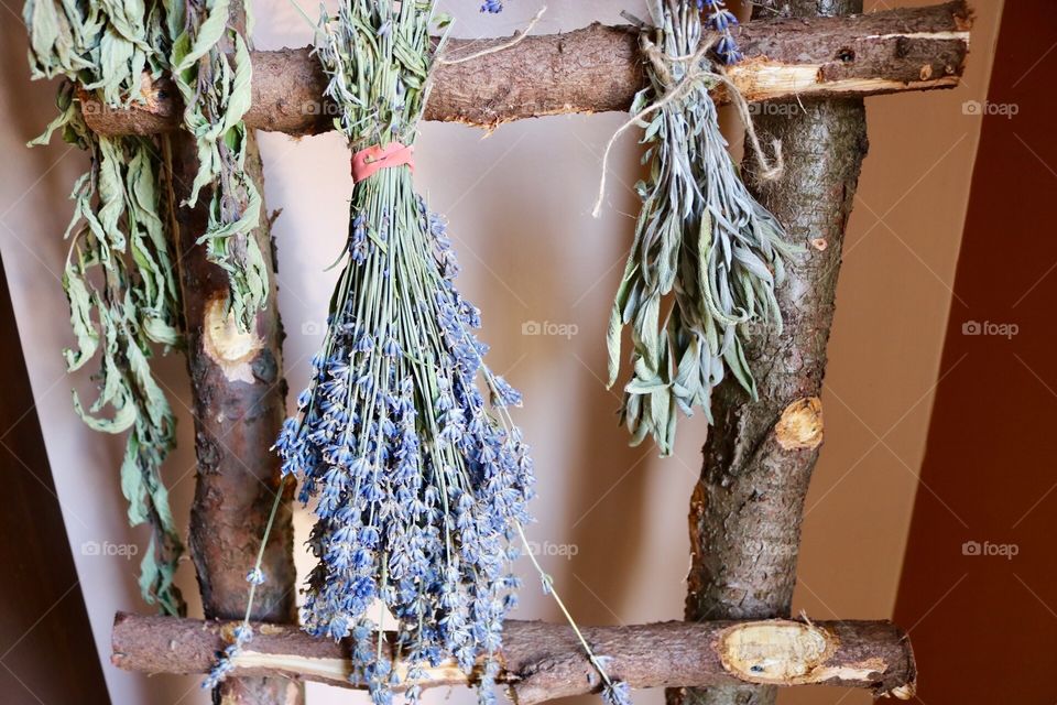 Drying Herbs