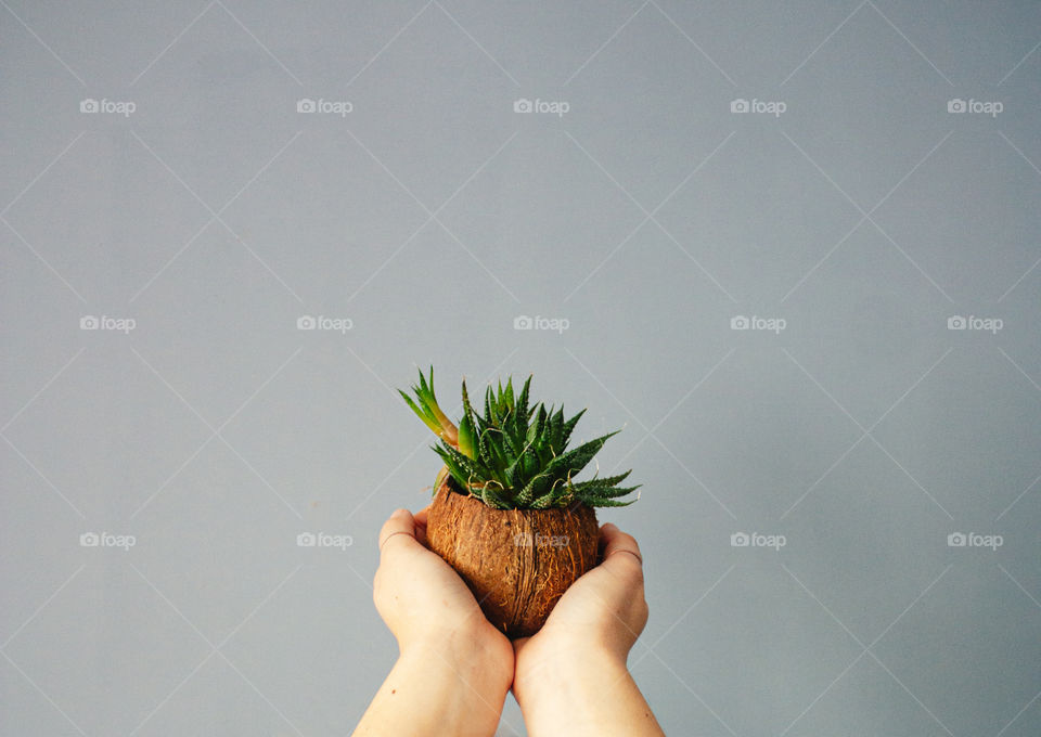 holding a plant