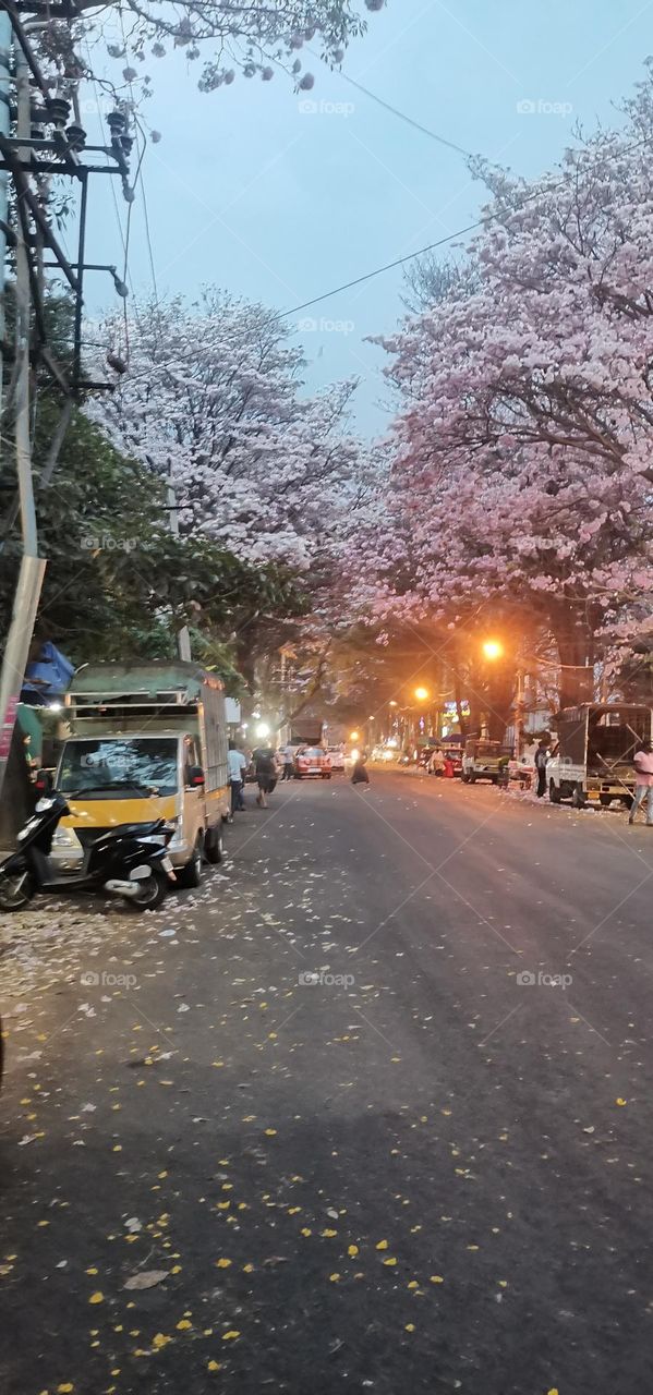 evening session point