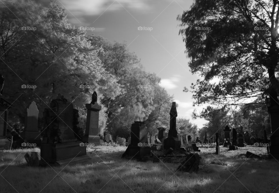 Tombstone in graveyard