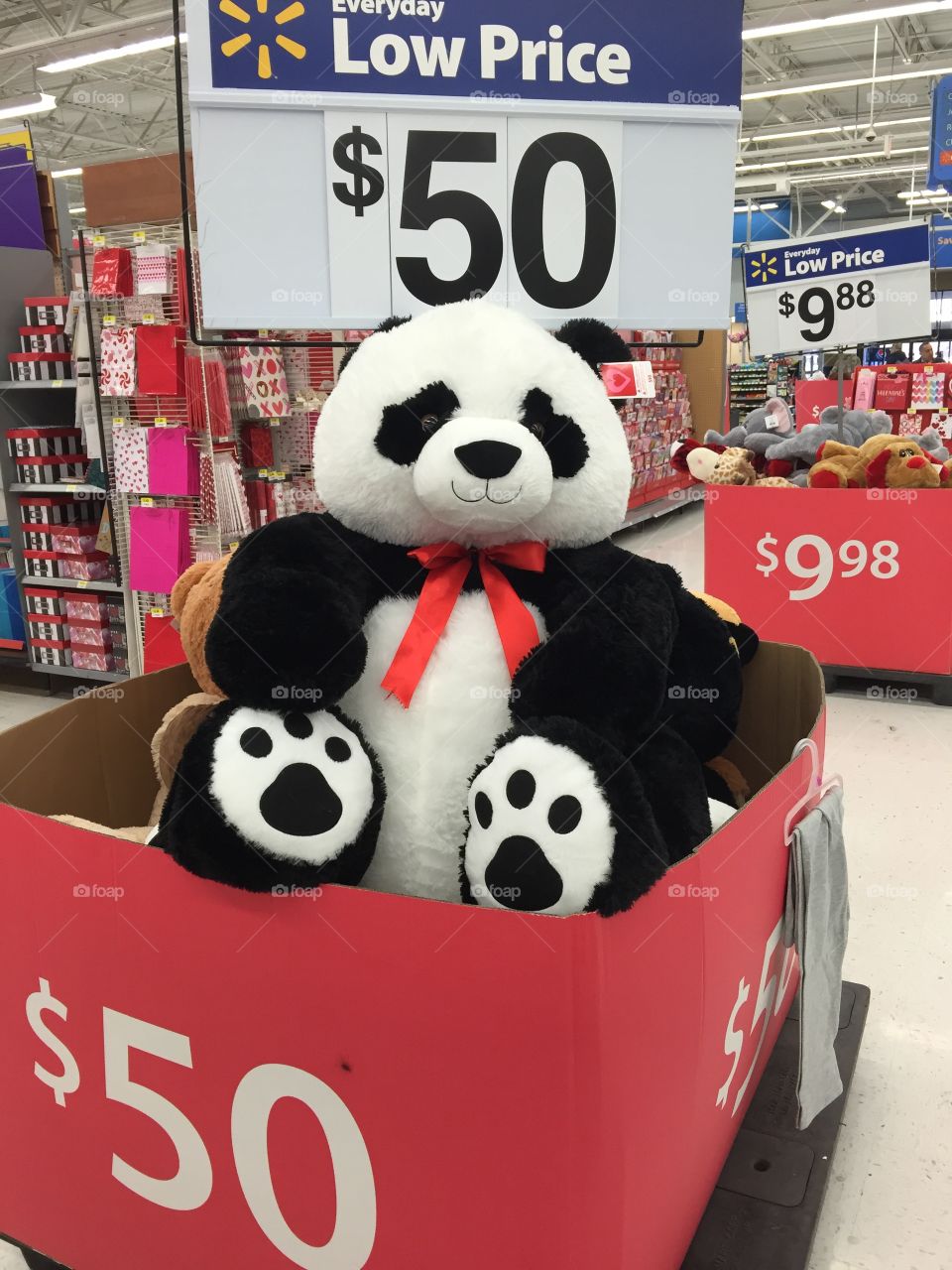 Giant Panda for Sale